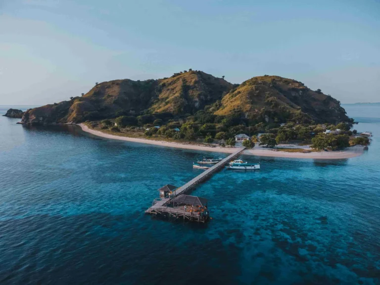 pexels-pamanjoe-12376211_11zon